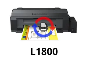 Reset de Almohadillas Epson L1800 Online | Verificación WhatsApp