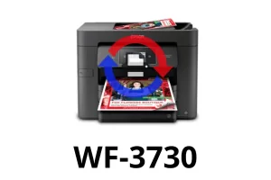 Reset de Almohadillas Epson WF-3730 Online | Verificación WhatsApp
