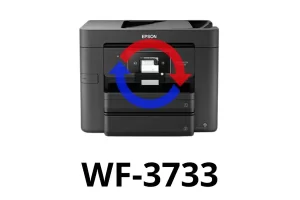 Reset de Almohadillas Epson WF-3733 Online | Verificación WhatsApp